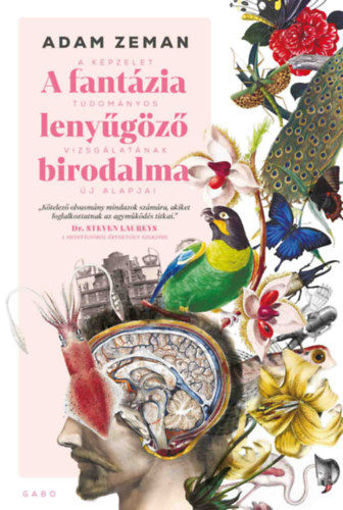 A fantázia lenyűgöző birodalma termékhez kapcsolódó kép