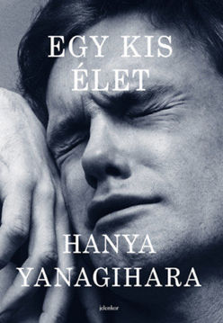 Egy kis élet termékhez kapcsolódó kép
