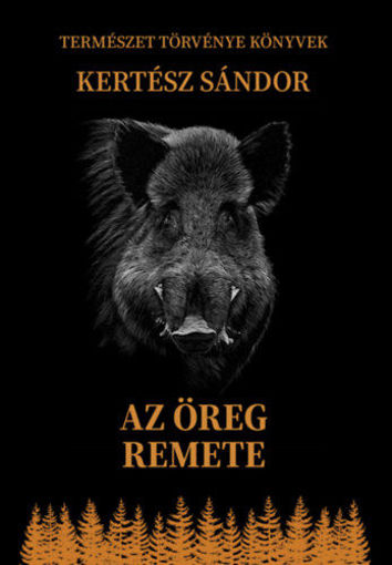 Az öreg remete termékhez kapcsolódó kép