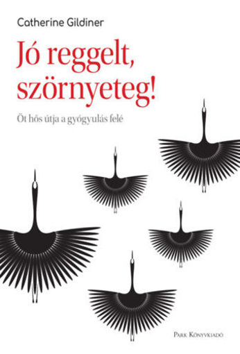 Jó reggelt, szörnyeteg! - Öt hős útja a gyógyulás felé termékhez kapcsolódó kép