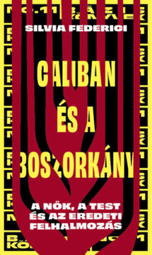 Caliban és a boszorkány - A nők, a test és az eredeti felhalmozás termékhez kapcsolódó kép