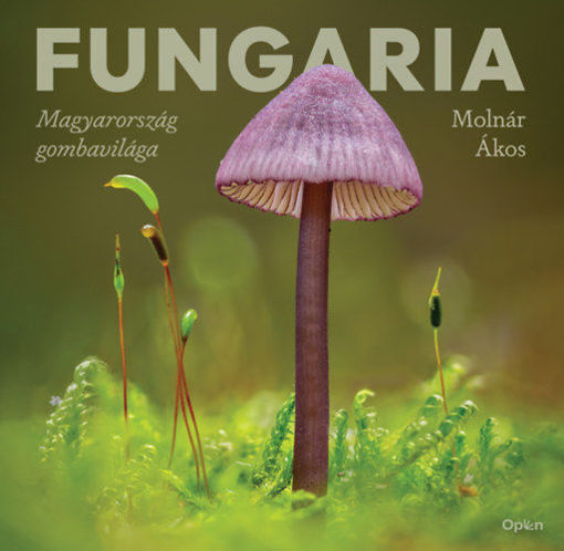 Fungaria - Magyarország gombavilága termékhez kapcsolódó kép