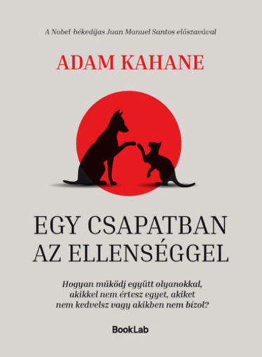 Egy csapatban az ellenséggel - Hogyan működj együtt olyanokkal, akikkel nem értesz egyet, akiket nem kedvelsz vagy akikben nem bízol? termékhez kapcsolódó kép