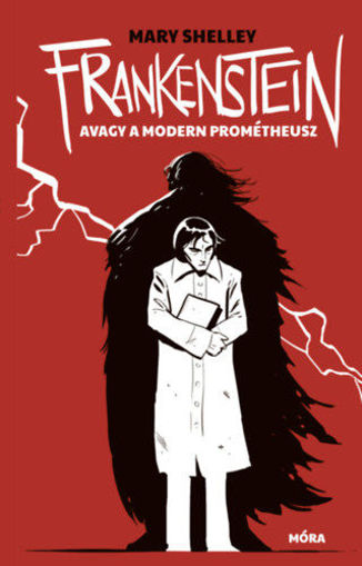 Frankenstein, avagy a modern Prométheusz  - Zsebkönyv termékhez kapcsolódó kép