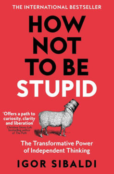 How Not To Be Stupid termékhez kapcsolódó kép