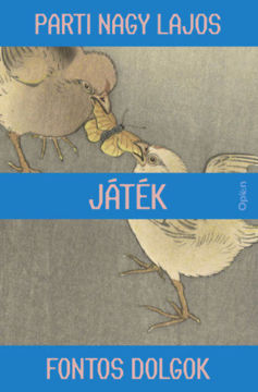 Játék termékhez kapcsolódó kép